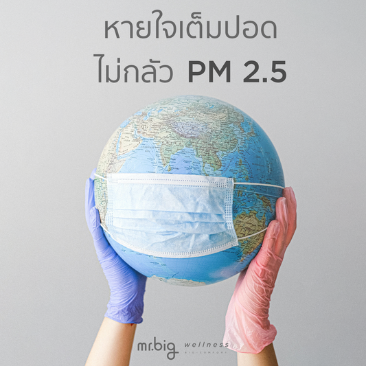 หายใจเต็มปอด ไม่กลัว PM 2.5